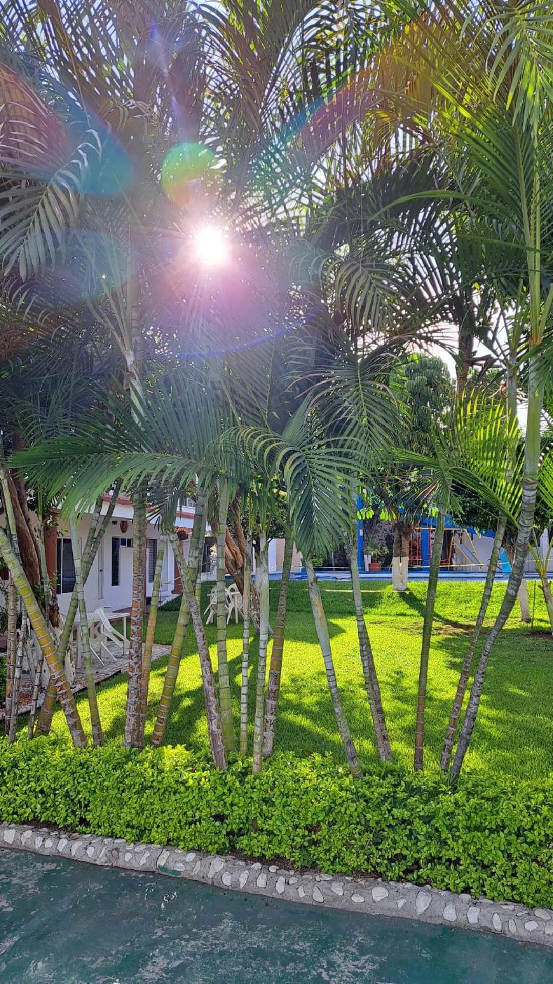 Hotel Quinta Paraiso Cocoyoc Exteriör bild