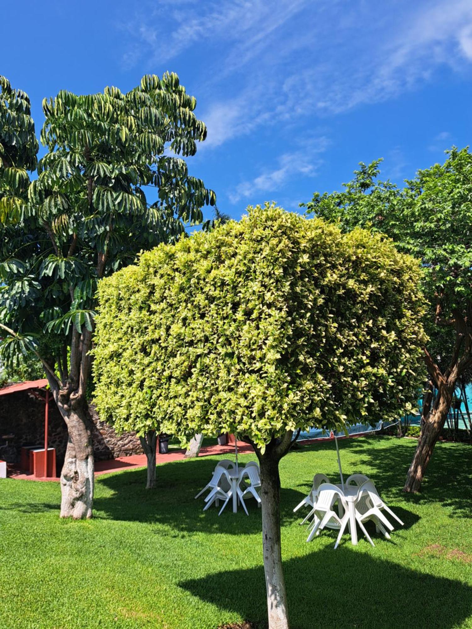 Hotel Quinta Paraiso Cocoyoc Exteriör bild